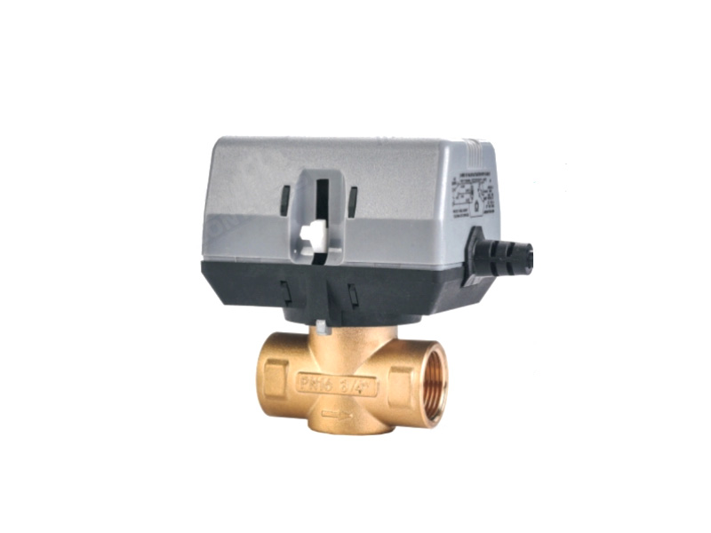 6-6013.jpg 6-6013.jpg